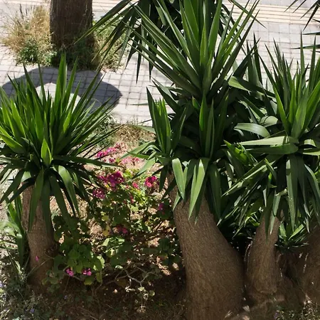 Urban Διαμέρισμα