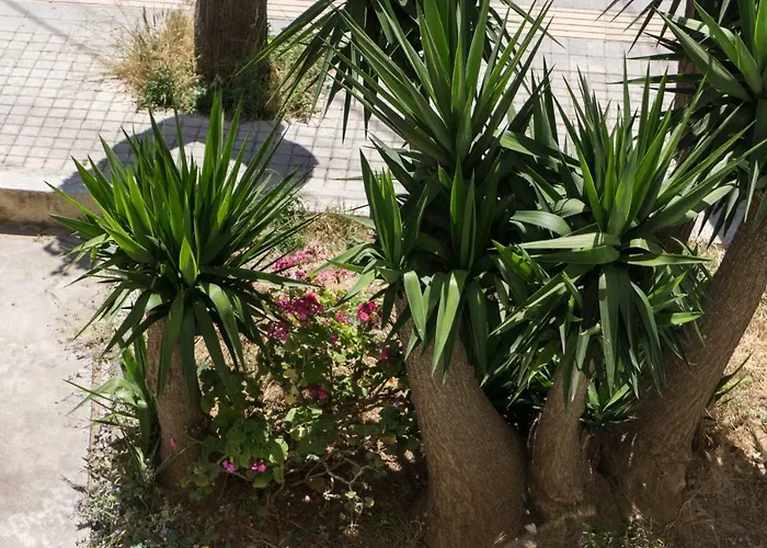 Urban Διαμέρισμα